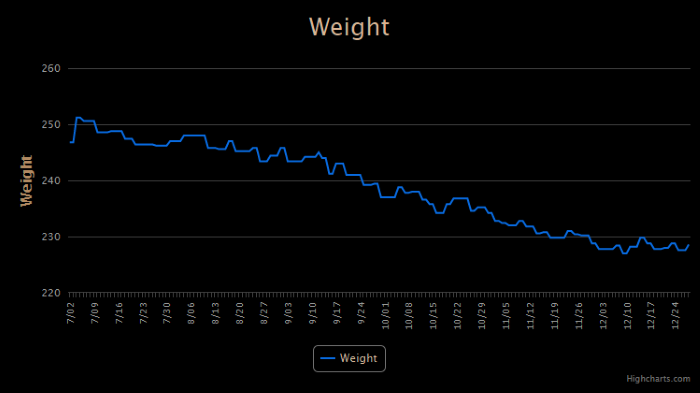 Meeting My Fitness Goal in 2020