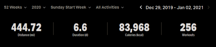 My stats on MapMyFitness over the past year.
