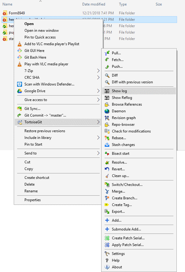 Open the Git Log