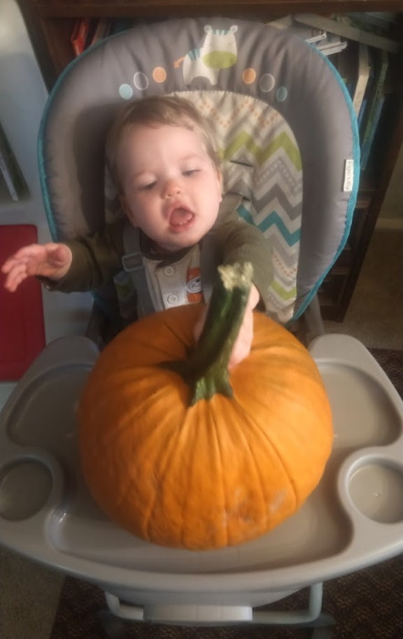 My daughter sitting in her high chair checking out her pumpkin.
