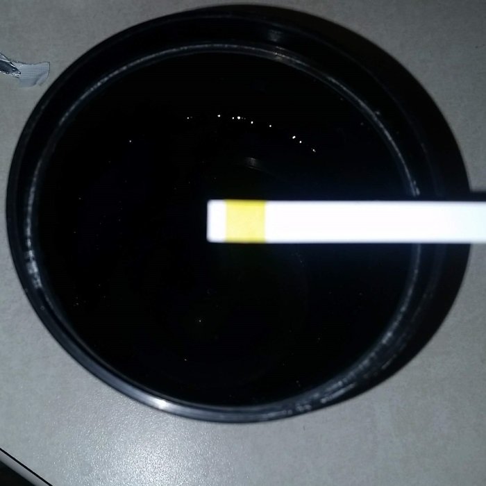 Holding the Test Strip Above The Cup of Water