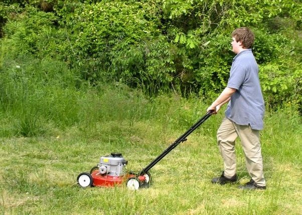 Mow lawns.